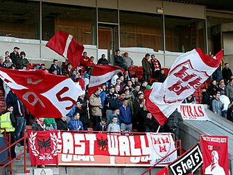 Shelbourne fan's group cal...